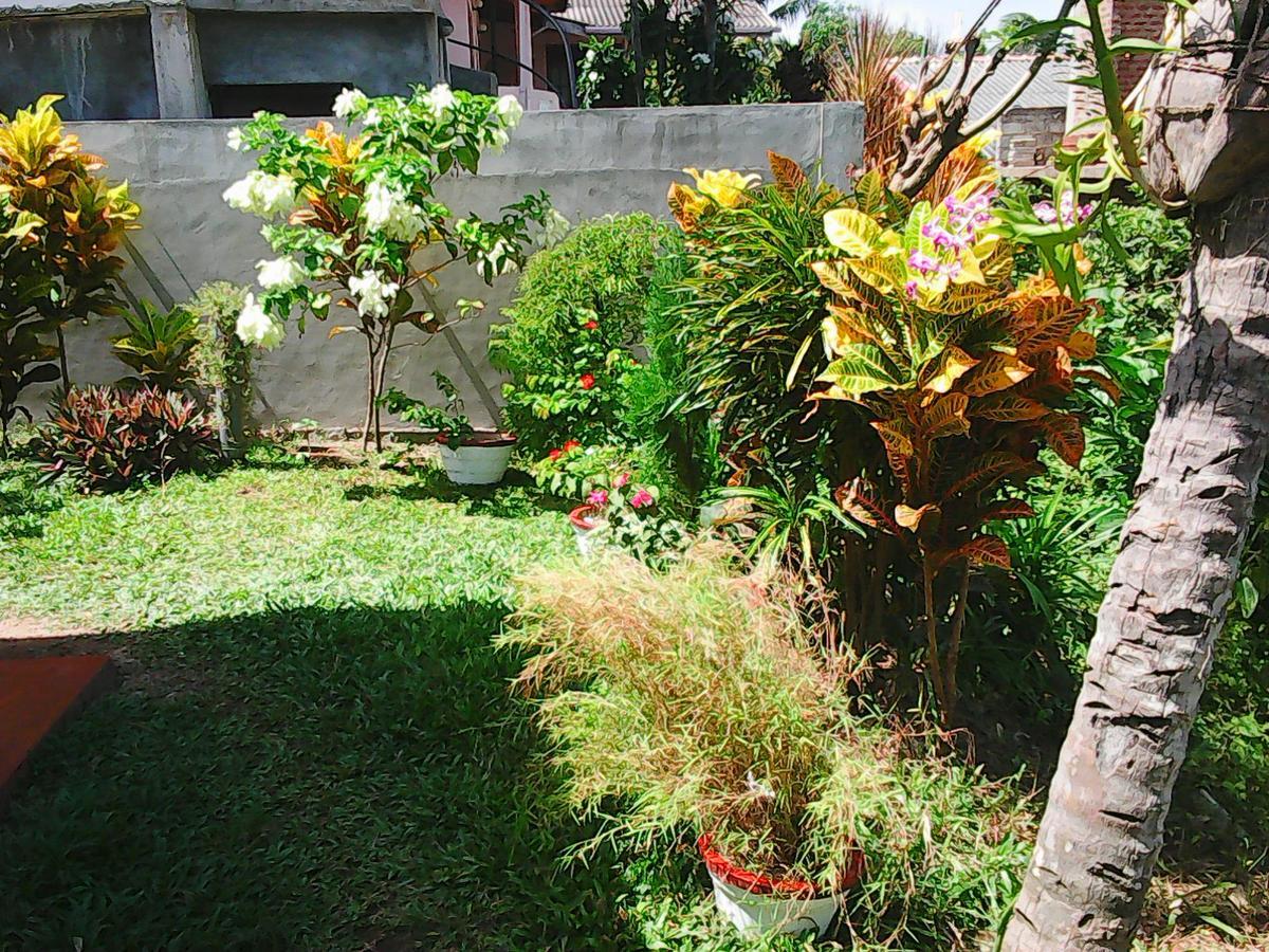 Bentota Orchid House Bed & Breakfast Exterior photo